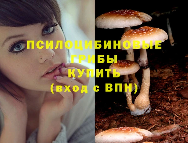 гидропоника Лиски