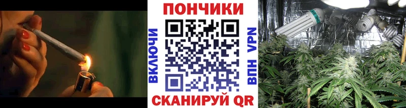 Бошки Шишки ГИДРОПОН  Ильский 